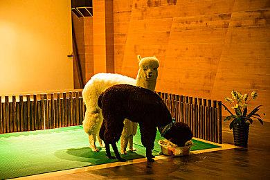 《星刃》被和谐的服装被解封 推主庆祝：这是玩家的胜利